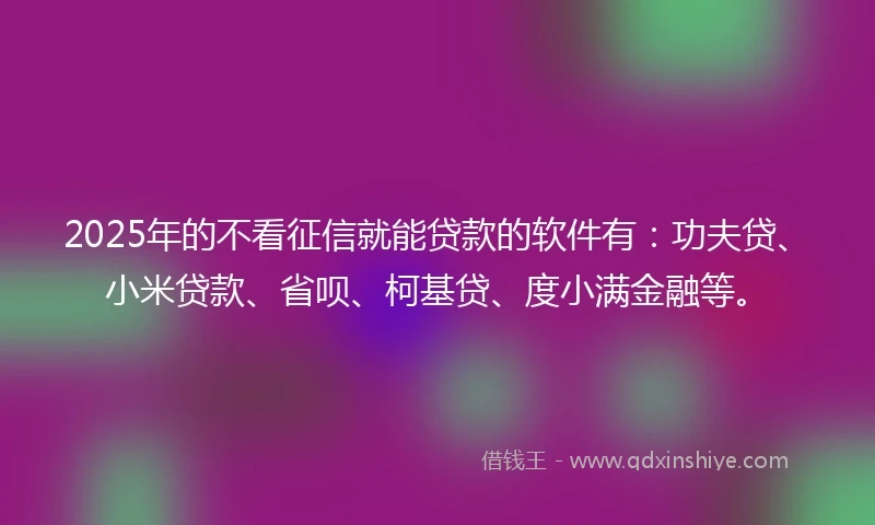 2025年的不看征信就能贷款的软件有：功夫贷、小米贷款、省呗、柯基贷、度小满金融等。