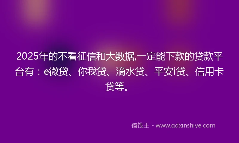 2025年的不看征信和大数据,一定能下款的贷款平台有：e微贷、你我贷、滴水贷、平安i贷、信用卡贷等。