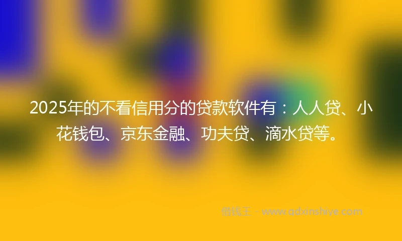 2025年的不看信用分的贷款软件有：人人贷、小花钱包、京东金融、功夫贷、滴水贷等。