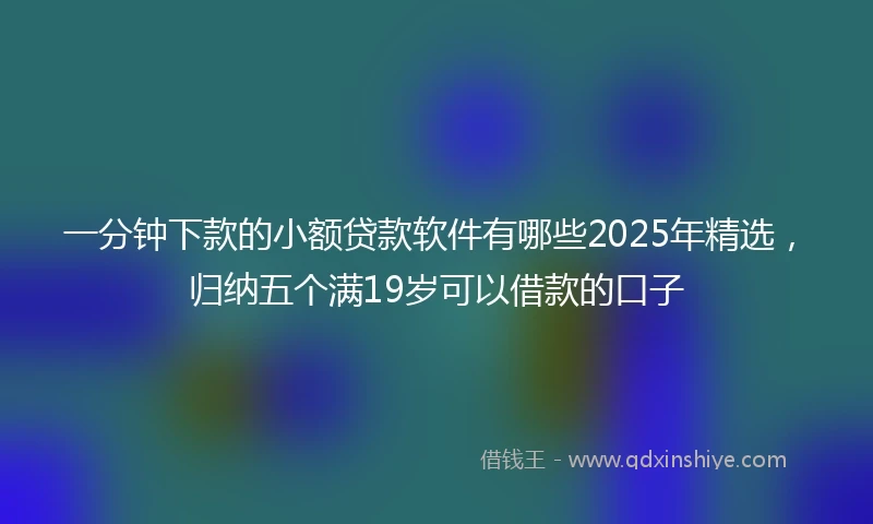 一分钟下款的小额贷款软件有哪些2025年精选，归纳五个满19岁可以借款的口子