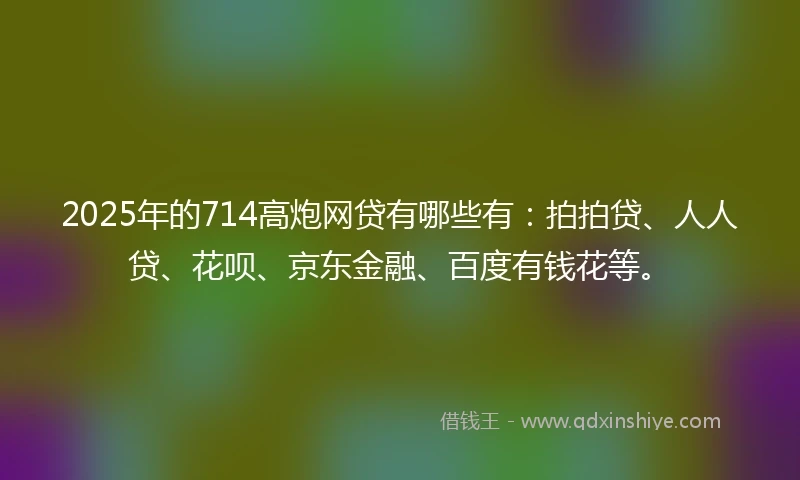 2025年的714高炮网贷有哪些有：拍拍贷、人人贷、花呗、京东金融、百度有钱花等。