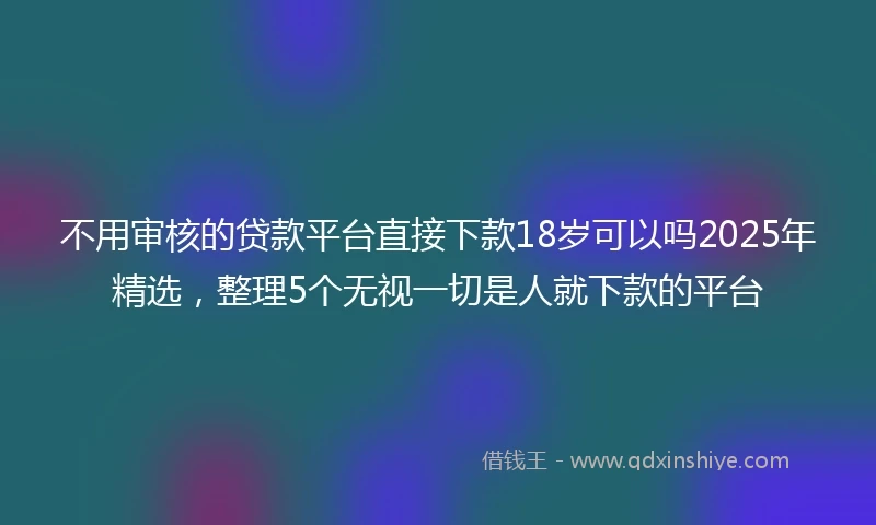 不用审核的贷款平台直接下款18岁可以吗2025年精选，整理5个无视一切是人就下款的平台