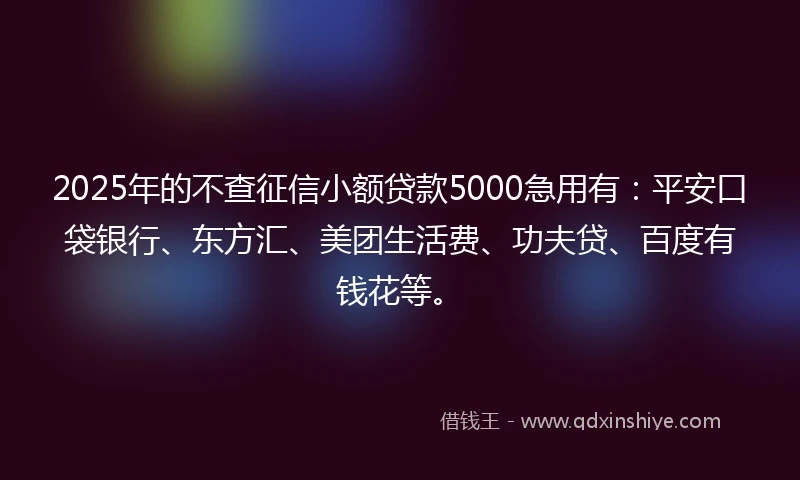 2025年的不查征信小额贷款5000急用有：平安口袋银行、东方汇、美团生活费、功夫贷、百度有钱花等。