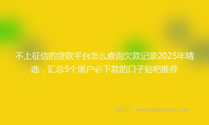 不上征信的贷款平台怎么查询欠款记录2025年精选，汇总5个黑户必下款的口子贴吧推荐