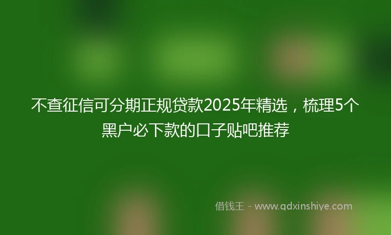 不查征信可分期正规贷款2025年精选，梳理5个黑户必下款的口子贴吧推荐