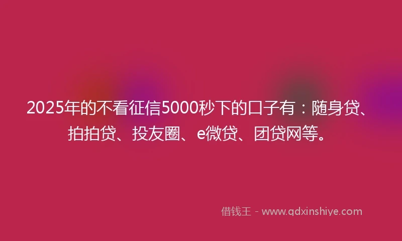 2025年的不看征信5000秒下的口子有：随身贷、拍拍贷、投友圈、e微贷、团贷网等。