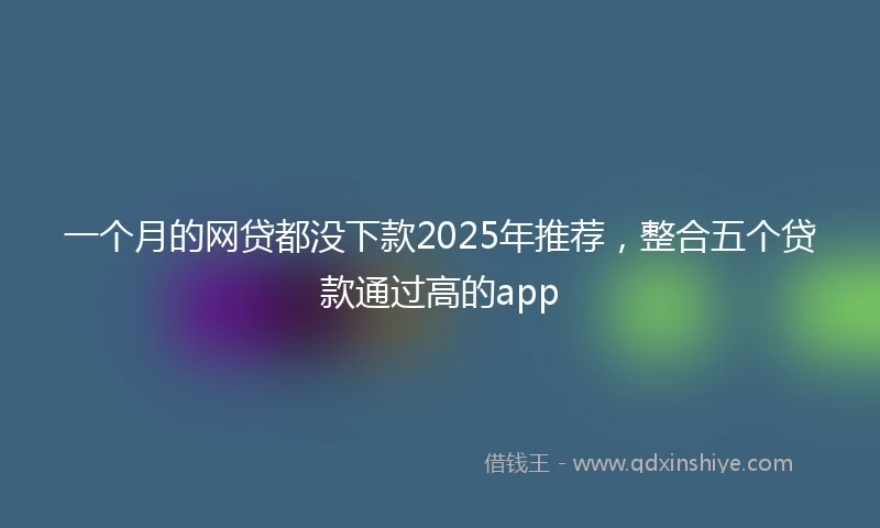 一个月的网贷都没下款2025年推荐，整合五个贷款通过高的app