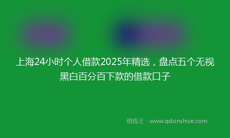 上海24小时个人借款2025年精选,盘点五个无视黑白百分百下款的借款口子