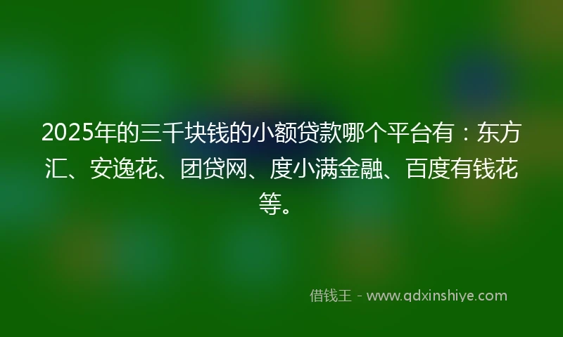 2025年的三千块钱的小额贷款哪个平台有：东方汇、安逸花、团贷网、度小满金融、百度有钱花等。