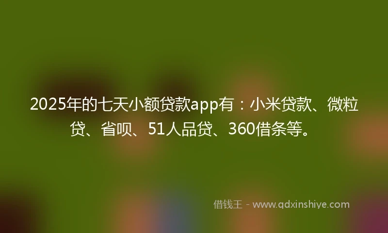 2025年的七天小额贷款app有：小米贷款、微粒贷、省呗、51人品贷、360借条等。