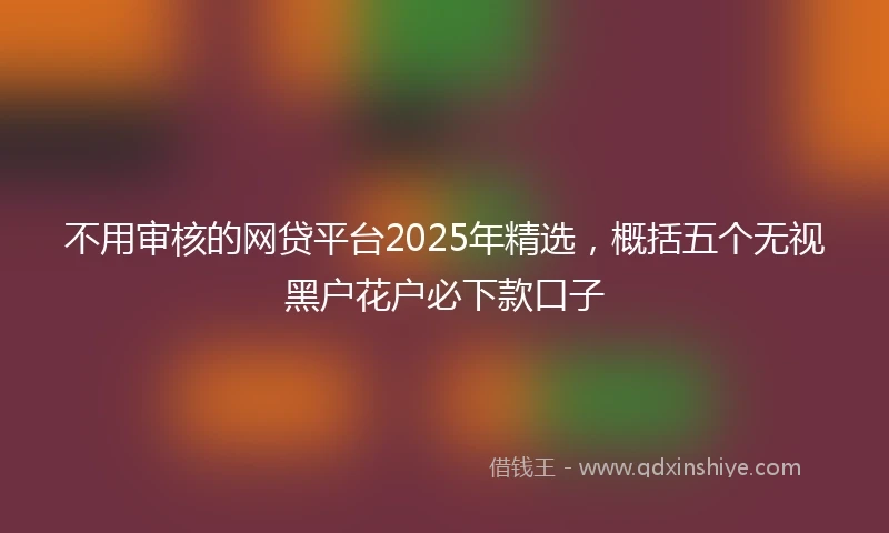 不用审核的网贷平台2025年精选，概括五个无视黑户花户必下款口子