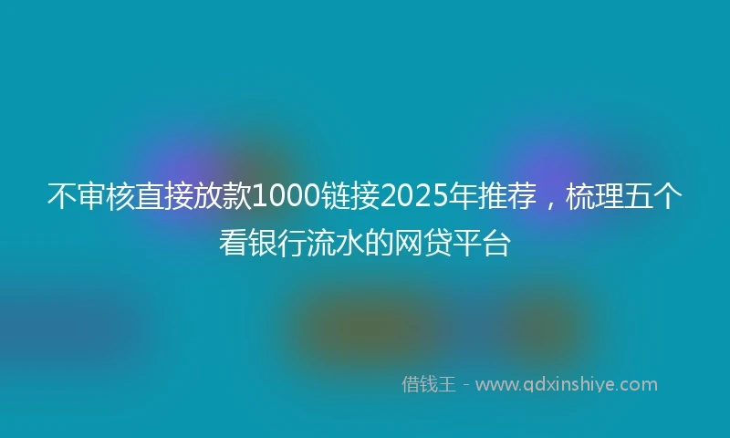 不审核直接放款1000链接2025年推荐，梳理五个看银行流水的网贷平台