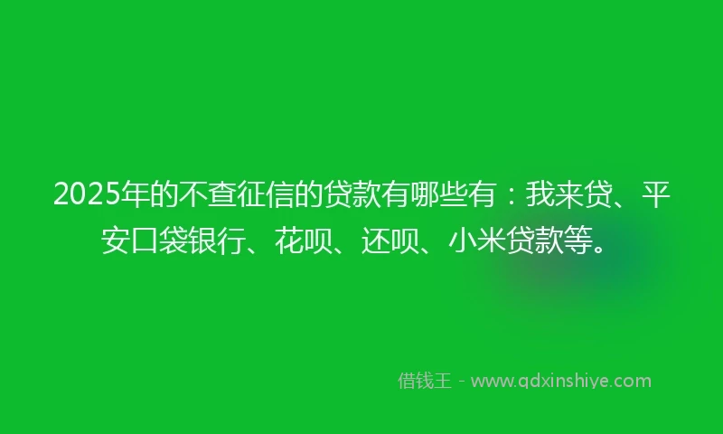 2025年的不查征信的贷款有哪些有：我来贷、平安口袋银行、花呗、还呗、小米贷款等。