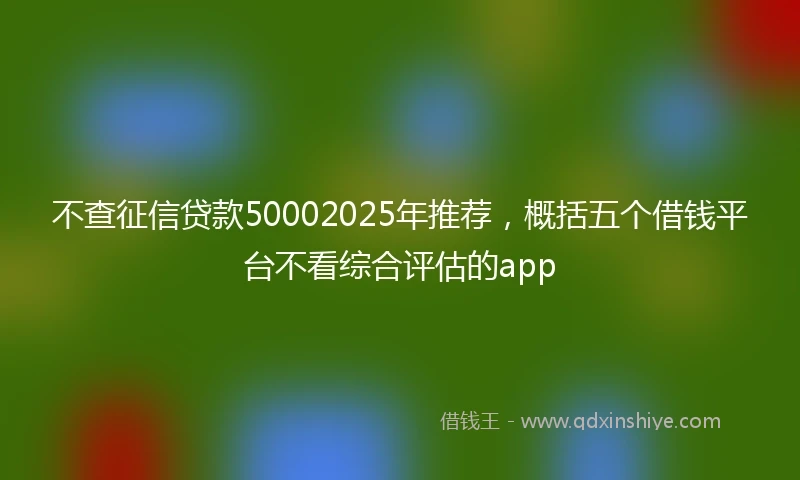 不查征信贷款50002025年推荐，概括五个借钱平台不看综合评估的app