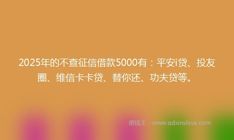 2025年的不查征信借款5000有：平安i贷、投友圈、维信卡卡贷、替你还、功夫贷等。