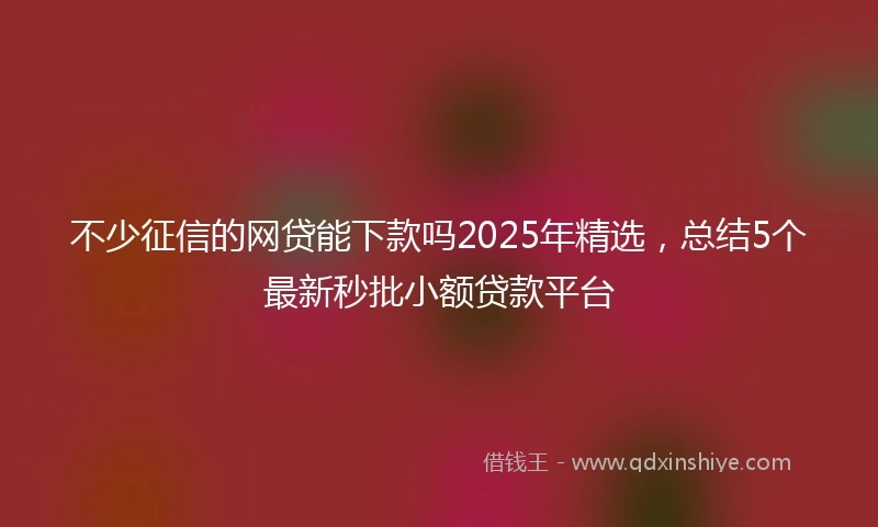 不少征信的网贷能下款吗2025年精选，总结5个最新秒批小额贷款平台