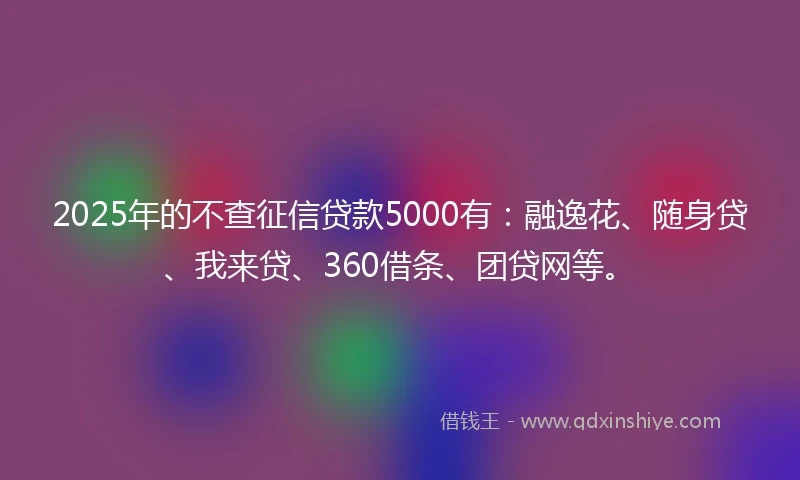 2025年的不查征信贷款5000有：融逸花、随身贷、我来贷、360借条、团贷网等。