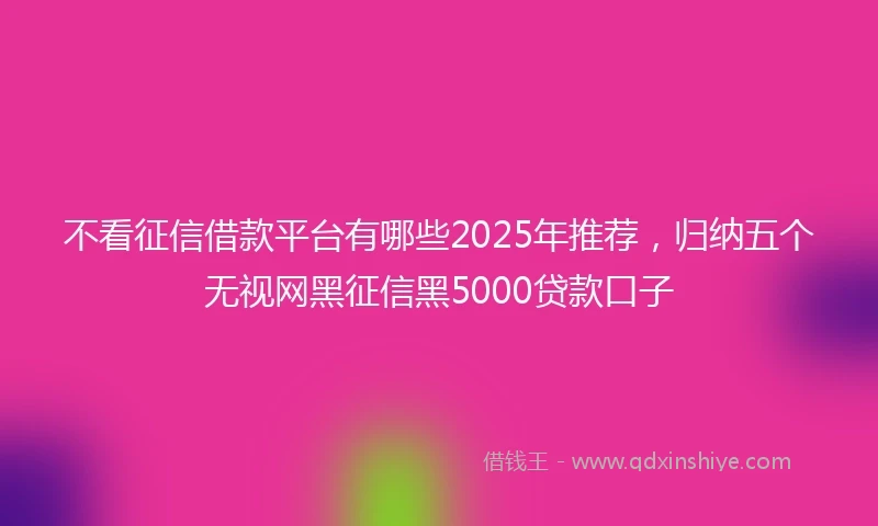 不看征信借款平台有哪些2025年推荐，归纳五个无视网黑征信黑5000贷款口子