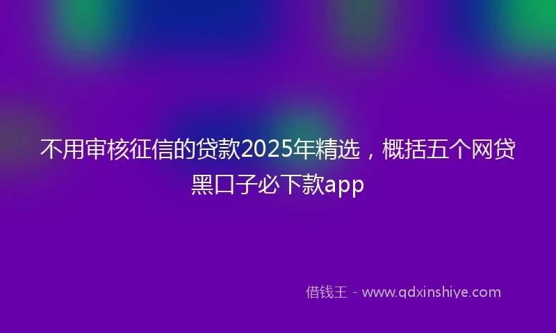 不用审核征信的贷款2025年精选，概括五个网贷黑口子必下款app