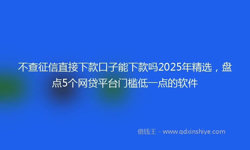 不查征信直接下款口子能下款吗2025年精选，盘点5个网贷平台门槛低一点的软件