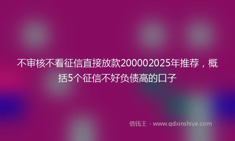 不审核不看征信直接放款200002025年推荐，概括5个征信不好负债高的口子