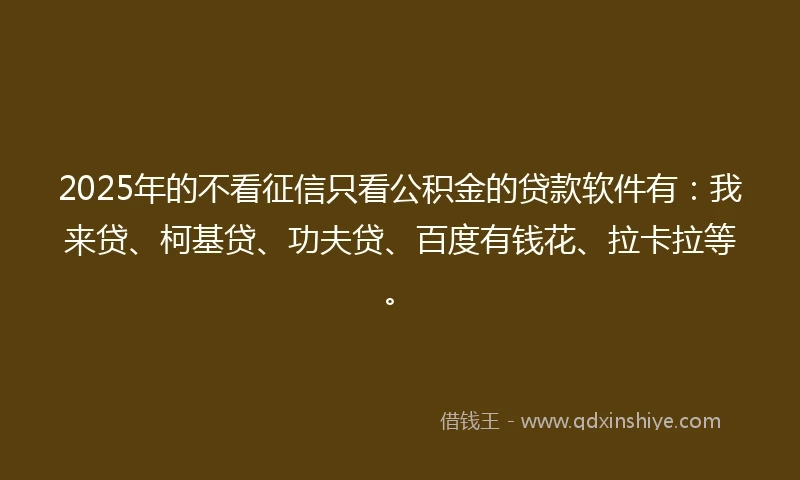 2025年的不看征信只看公积金的贷款软件有：我来贷、柯基贷、功夫贷、百度有钱花、拉卡拉等。