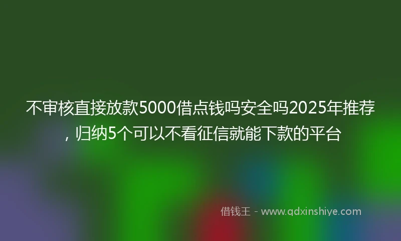 不审核直接放款5000借点钱吗安全吗2025年推荐，归纳5个可以不看征信就能下款的平台