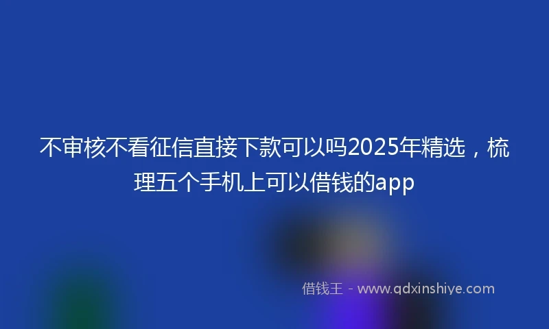 不审核不看征信直接下款可以吗2025年精选，梳理五个手机上可以借钱的app