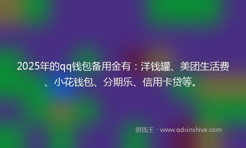 2025年的qq钱包备用金有：洋钱罐、美团生活费、小花钱包、分期乐、信用卡贷等。