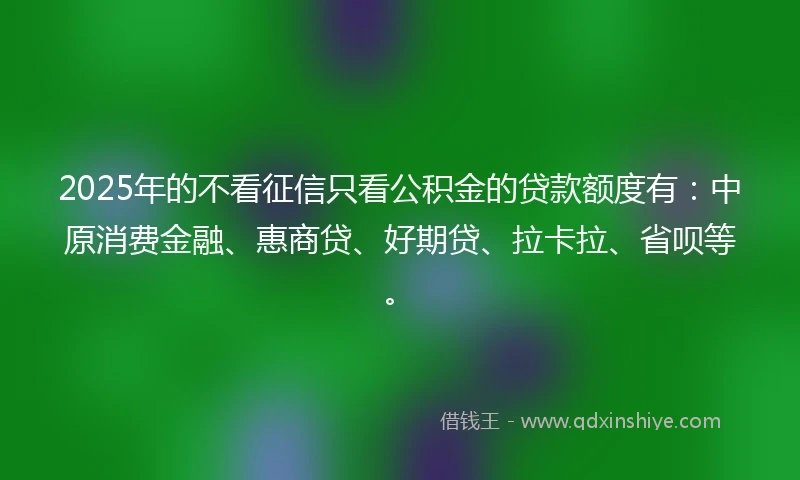 2025年的不看征信只看公积金的贷款额度有：中原消费金融、惠商贷、好期贷、拉卡拉、省呗等。