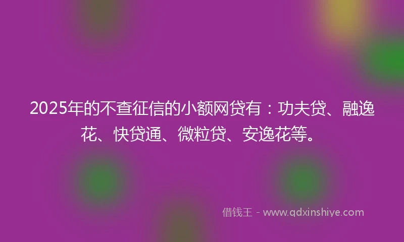 2025年的不查征信的小额网贷有：功夫贷、融逸花、快贷通、微粒贷、安逸花等。
