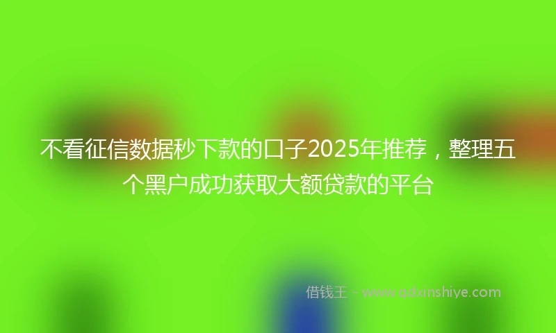 不看征信数据秒下款的口子2025年推荐，整理五个黑户成功获取大额贷款的平台