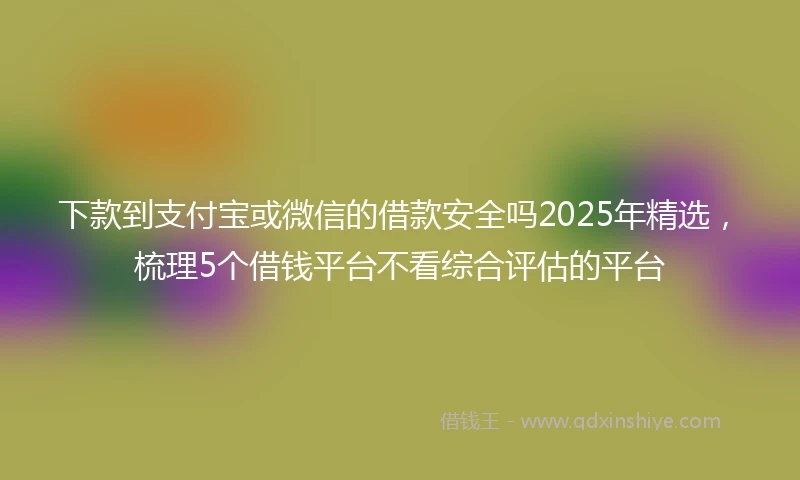 下款到支付宝或微信的借款安全吗2025年精选，梳理5个借钱平台不看综合评估的平台