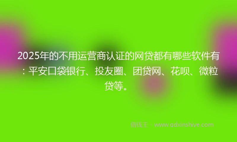 2025年的不用运营商认证的网贷都有哪些软件有：平安口袋银行、投友圈、团贷网、花呗、微粒贷等。