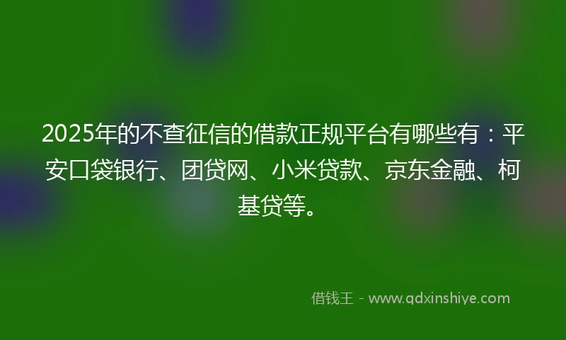 2025年的不查征信的借款正规平台有哪些有：平安口袋银行、团贷网、小米贷款、京东金融、柯基贷等。