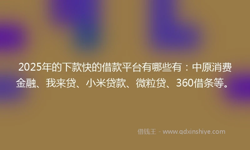 2025年的下款快的借款平台有哪些有：中原消费金融、我来贷、小米贷款、微粒贷、360借条等。