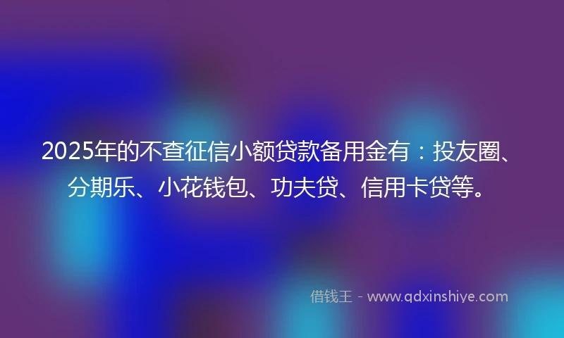 2025年的不查征信小额贷款备用金有：投友圈、分期乐、小花钱包、功夫贷、信用卡贷等。