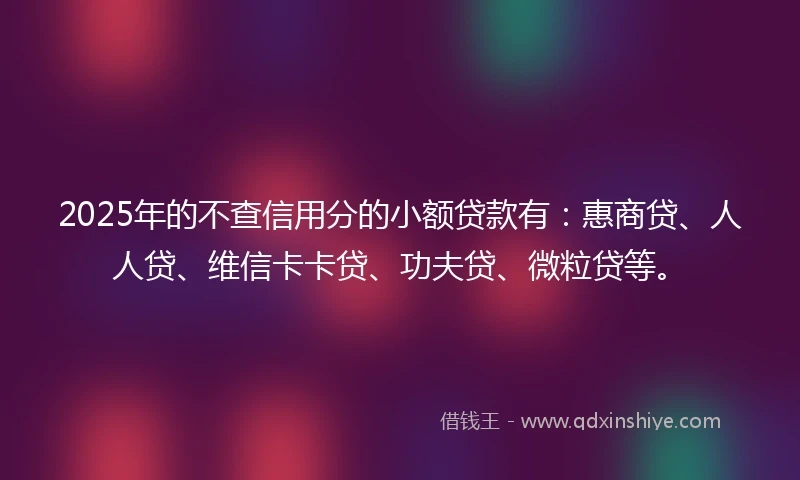 2025年的不查信用分的小额贷款有：惠商贷、人人贷、维信卡卡贷、功夫贷、微粒贷等。