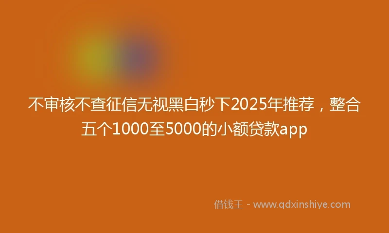 不审核不查征信无视黑白秒下2025年推荐，整合五个1000至5000的小额贷款app