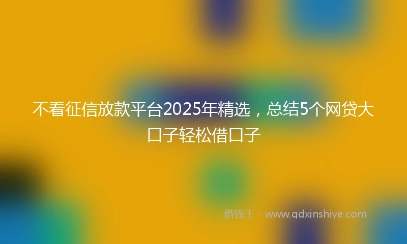 不看征信放款平台2025年精选，总结5个网贷大口子轻松借口子