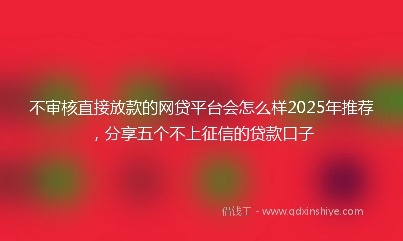 不审核直接放款的网贷平台会怎么样2025年推荐，分享五个不上征信的贷款口子