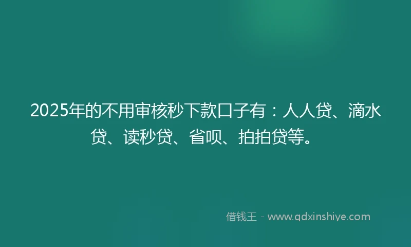 2025年的不用审核秒下款口子有：人人贷、滴水贷、读秒贷、省呗、拍拍贷等。