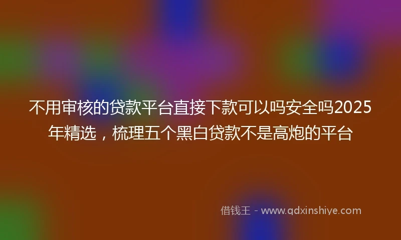 不用审核的贷款平台直接下款可以吗安全吗2025年精选，梳理五个黑白贷款不是高炮的平台