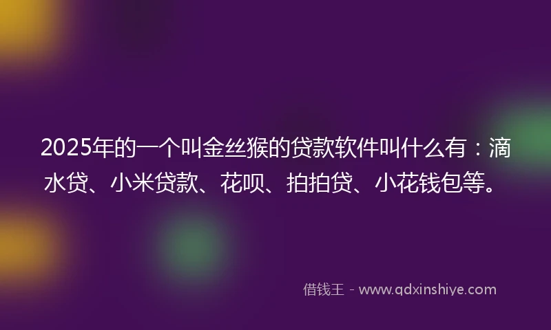 2025年的一个叫金丝猴的贷款软件叫什么有：滴水贷、小米贷款、花呗、拍拍贷、小花钱包等。