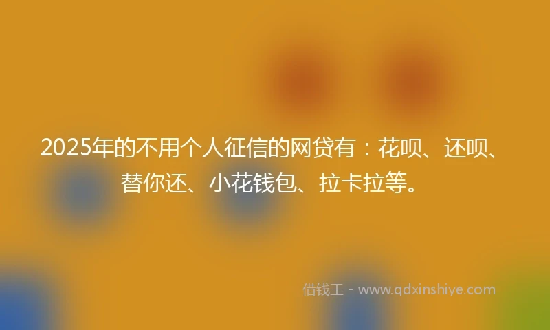 2025年的不用个人征信的网贷有：花呗、还呗、替你还、小花钱包、拉卡拉等。