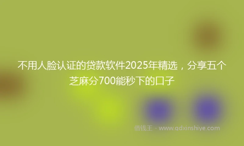 不用人脸认证的贷款软件2025年精选，分享五个芝麻分700能秒下的口子