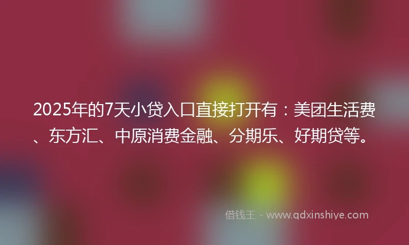 2025年的7天小贷入口直接打开有：美团生活费、东方汇、中原消费金融、分期乐、好期贷等。