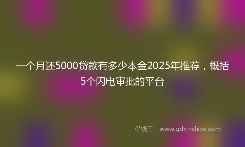 一个月还5000贷款有多少本金2025年推荐，概括5个闪电审批的平台