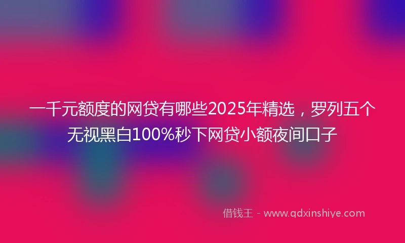 一千元额度的网贷有哪些2025年精选，罗列五个无视黑白100%秒下网贷小额夜间口子