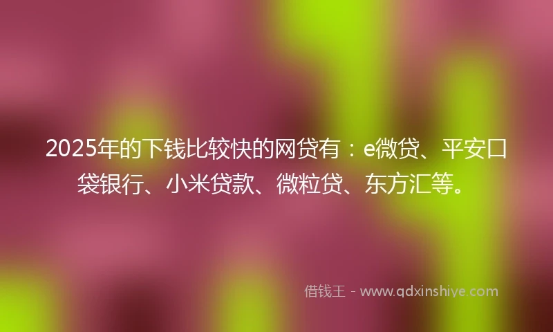 2025年的下钱比较快的网贷有:e微贷、平安口袋银行、小米贷款、微粒贷、东方汇等。